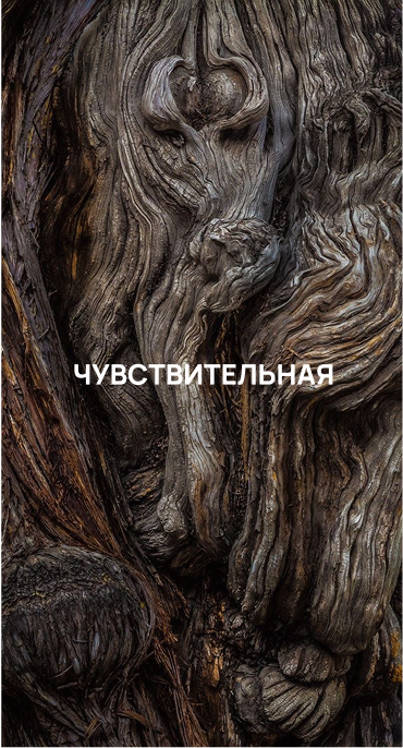 NATURE EMBRACE